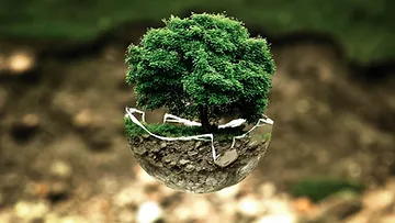 Environmental Sustainability