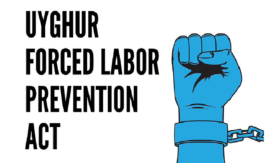 Uyghur Forced Labor Prevention Act (UFLPA) – Antislavery/Modern Slavery